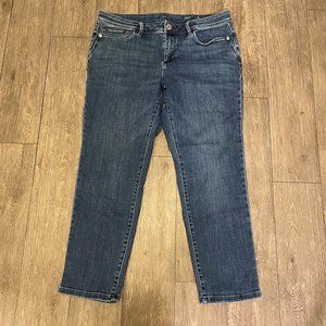 J.Jill Jeans Womens Size 10 P Blue Authentic Fit Slim Ankle Stretch Denim